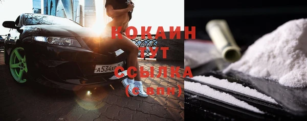 крисы Аркадак