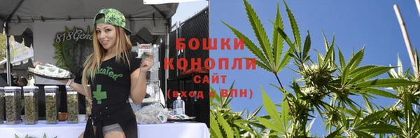 дживик Семилуки