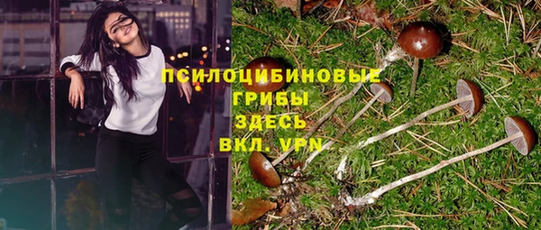 соль курить ск Армянск