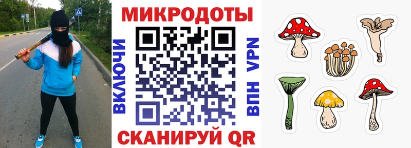 Псилоцибиновые грибы мицелий Перевоз